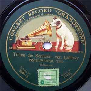 Unknown Artist - Traum Der Sennerin / Happy Days mp3