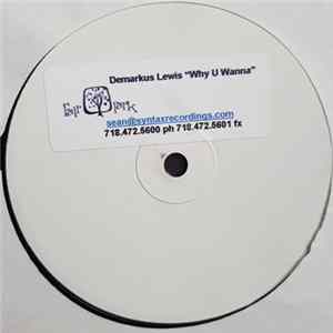 Demarkus Lewis - Why U Wanna? mp3