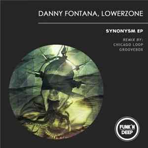 Danny Fontana, Lowerzone - Synonysm EP mp3