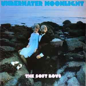 The Soft Boys - Underwater Moonlight mp3