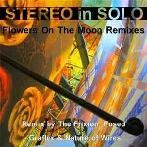 Stereo In Solo - Flowers On The Moon Remixes mp3