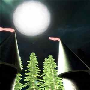 Returning We Hear The Larks - The Hidden World: I mp3