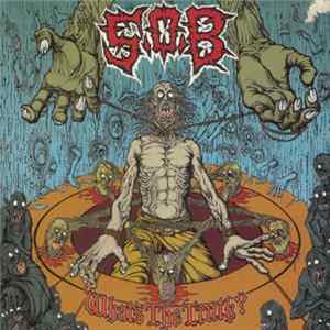 S.O.B. - What's The Truth? mp3
