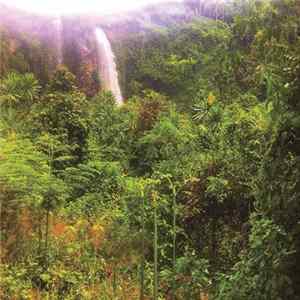 Ross Alexander - Memorias Vol.1 - Bugandan Sacred Places mp3