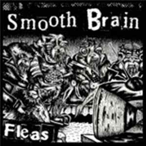 Smooth Brain - Fleas mp3