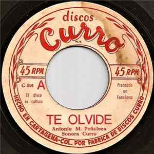 Sonora Curro - Te Olvide / Trigueñita mp3