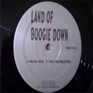 KRS-One - Land Of Boogie Down / Satisfaction mp3