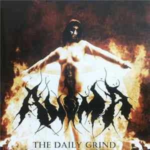 Anima - The Daily Grind mp3