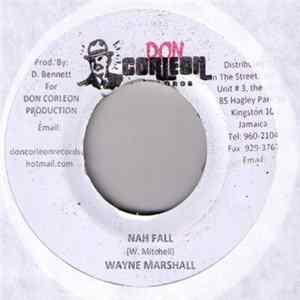Wayne Marshall - Nah Fall mp3