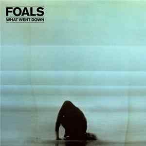 Foals - What Went Down mp3