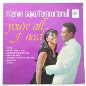 Marvin Gaye & Tammi Terrell - You're All I Need mp3