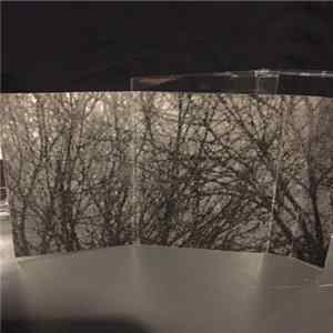 Autumn Laments - Gone mp3
