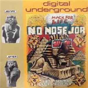 Digital Underground - No Nose Job mp3