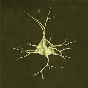 X=18 - Fragmentary / Illusionary mp3