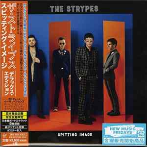 The Strypes - Spitting Image mp3