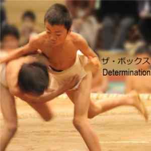 ザ・ボックス - Determination mp3