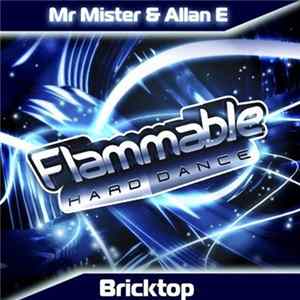 Mr Mister & Allan E - Bricktop mp3