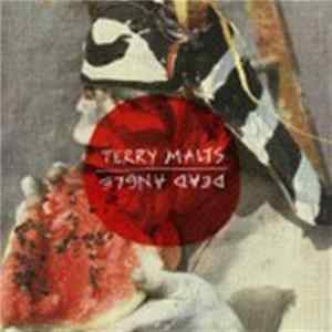 Terry Malts / Dead Angle - Shit Split mp3