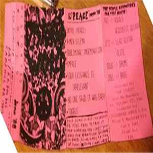 Distorted World - Peace Demo mp3