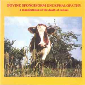 Various - Bovine Spongiform Encephalopathy mp3