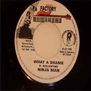 Ninja Man - What A Shame mp3