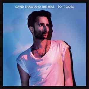 David Shaw And The Beat - So It Goes mp3