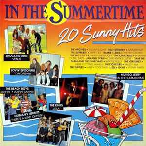 Various - In The Summertime - 20 Sunny Hits mp3
