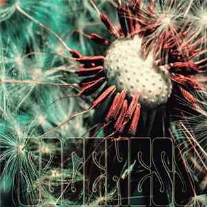 Sageness - Sageness mp3
