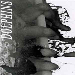 Dolphins - Fountain mp3
