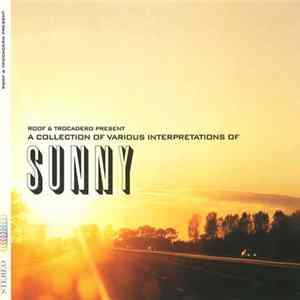 Various - A Collection Of Various Interpretations Of Sunny mp3