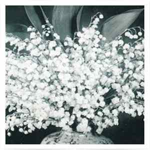 Araki Shin - A Song Book mp3