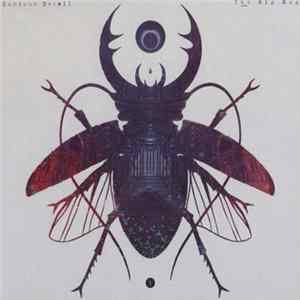 Curious Detail - The Big Bug mp3