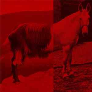 The Priceduifkes - Goathorse mp3