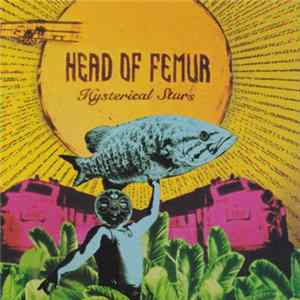 Head Of Femur - Hysterical Stars mp3