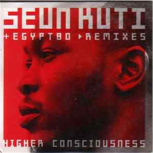 Seun Kuti + Egypt 80 - Higher Consciousness (Remixes) mp3