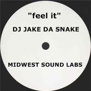 Dj Jake Da Snake - Feel It mp3