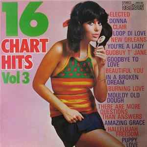 Unknown Artist - 16 Chart Hits Vol 3 mp3
