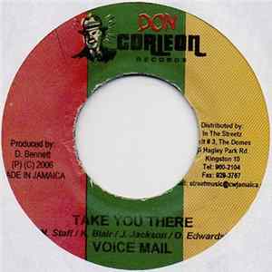 Voice Mail - Take You There mp3