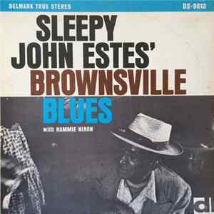 Sleepy John Estes - Brownsville Blues mp3