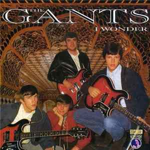 The Gants - I Wonder mp3