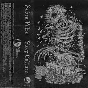 Zebra Pulse - Sleep Culture mp3