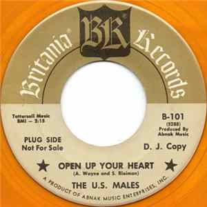 The U.S. Males - Open Up Your Heart mp3