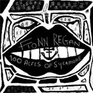 Fionn Regan - 100 Acres Of Sycamore mp3