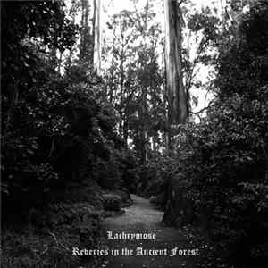 Lachrymose - Reveries In The Ancient Forest mp3