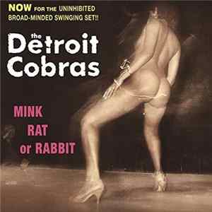 The Detroit Cobras - Mink Rat Or Rabbit mp3