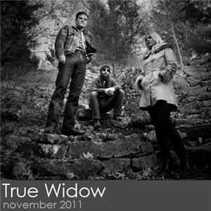 True Widow - Violitionist Sessions mp3