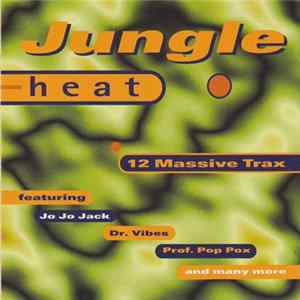 Various - Jungle Heat: 12 Massive Tracks mp3