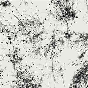 Taylor Deupree - Somi mp3