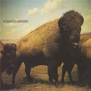 Kosheen - Harder mp3