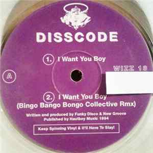 Disscode - I Want You Boy mp3